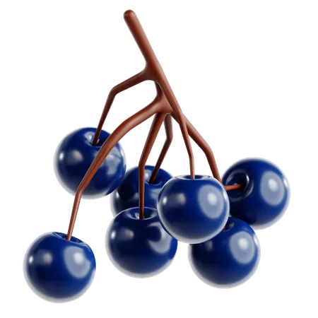 Blueberry  3D Icon