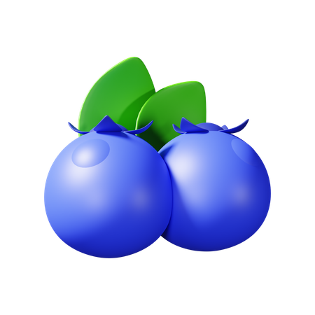 Blueberry  3D Illustration