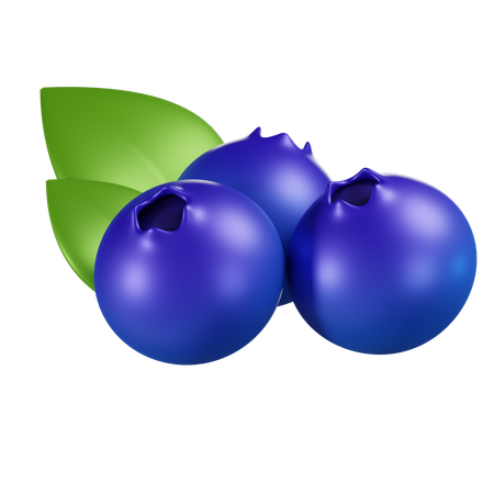 Blueberry  3D Icon