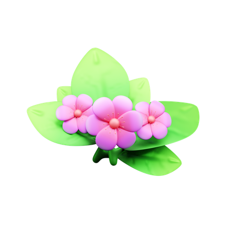 Blume  3D Icon