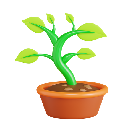 Bonsai Pflanze  3D Icon