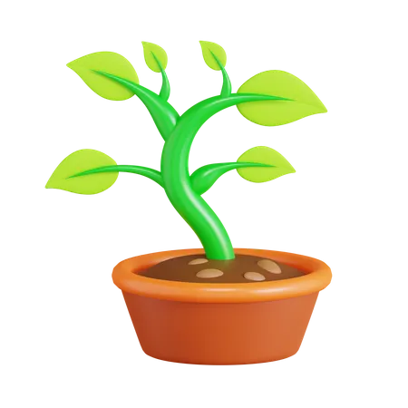 Bonsai Pflanze  3D Icon