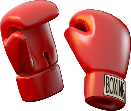 Boxing Gloves  3D Icon