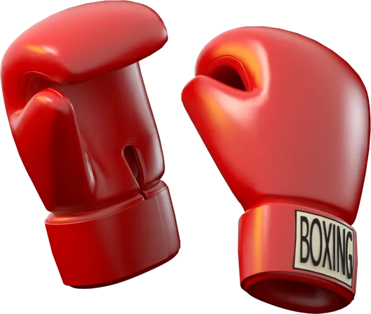 Boxing Gloves  3D Icon