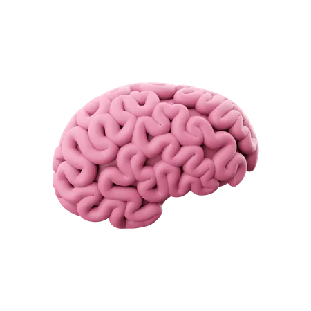 Brain  3D Icon