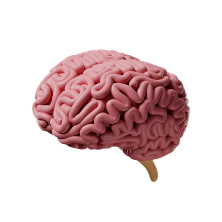 Brain  3D Icon