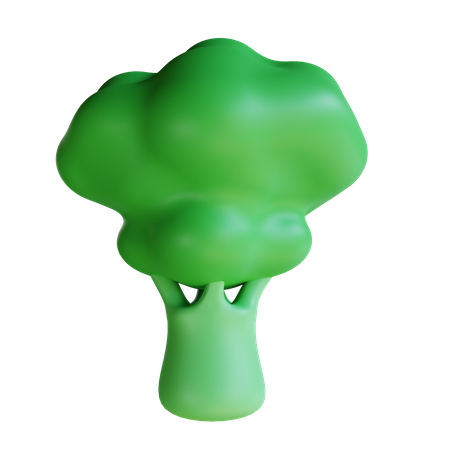 Brocolli  3D Icon