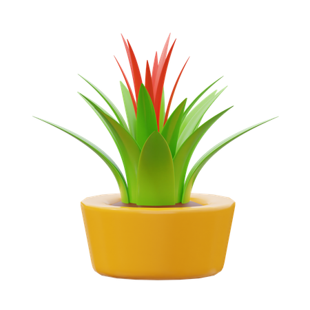 Planta bromelias  3D Icon