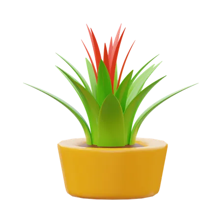 Planta bromelias  3D Icon