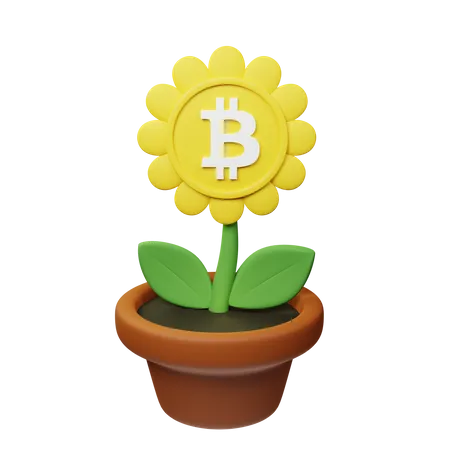 Vaso criptográfico bsv  3D Icon