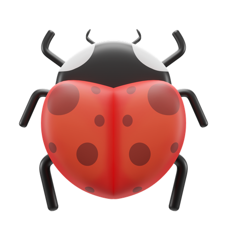 Bug  3D Illustration