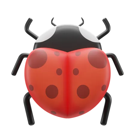 Bug  3D Illustration