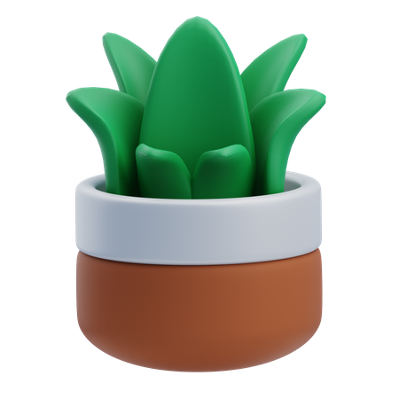 Plante d'herbe de bureau  3D Icon