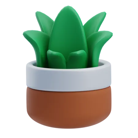 Plante d'herbe de bureau  3D Icon