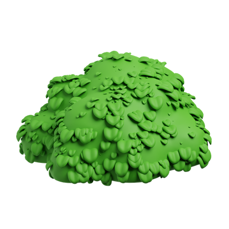 Bush  3D Icon