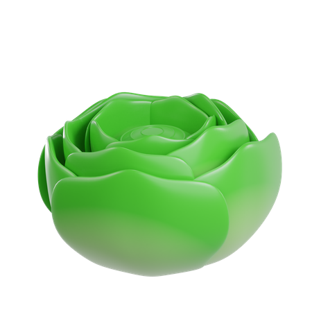 Cabbage  3D Illustration