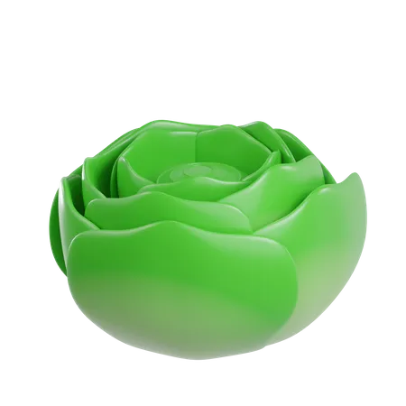 Cabbage  3D Illustration