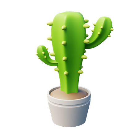 Cacto  3D Icon