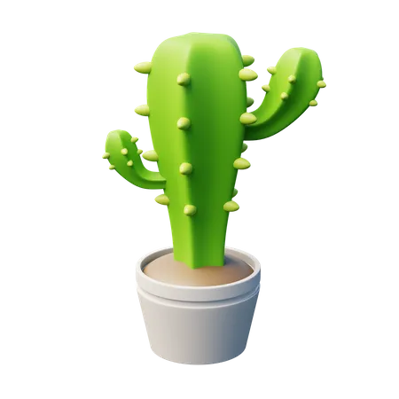 Cactus  3D Icon