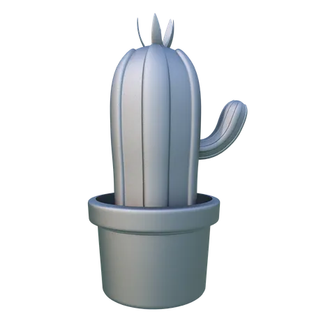 Cactus  3D Illustration