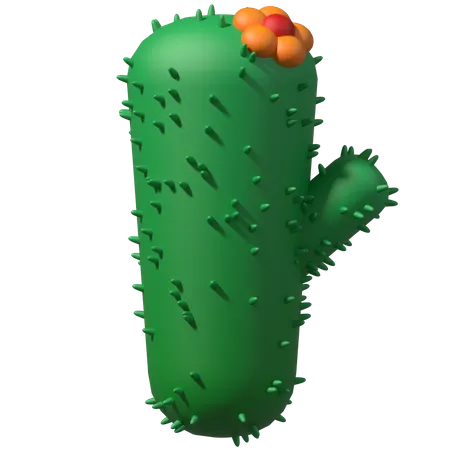 Cactus  3D Illustration