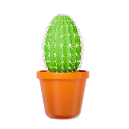 Cactus Plant  3D Icon