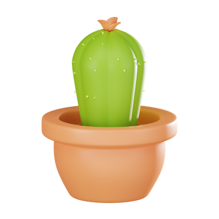 Cactus Plant Pot  3D Icon