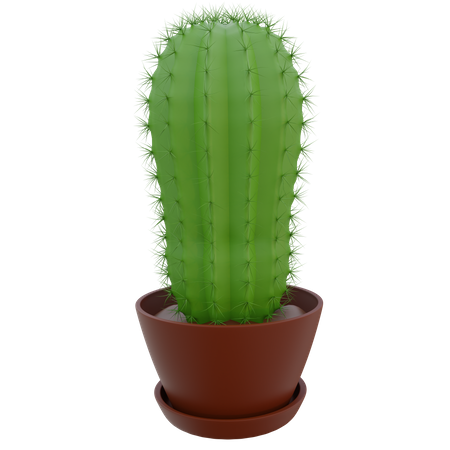 Cactus Pot  3D Icon