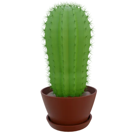 Cactus Pot  3D Icon