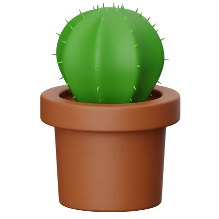 Cactus vase  3D Icon