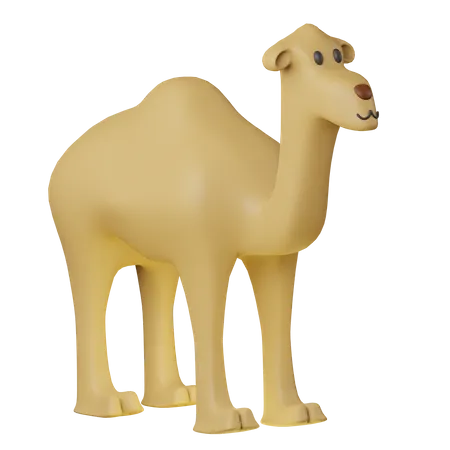 Camel  3D Icon