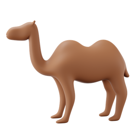 Camel  3D Icon