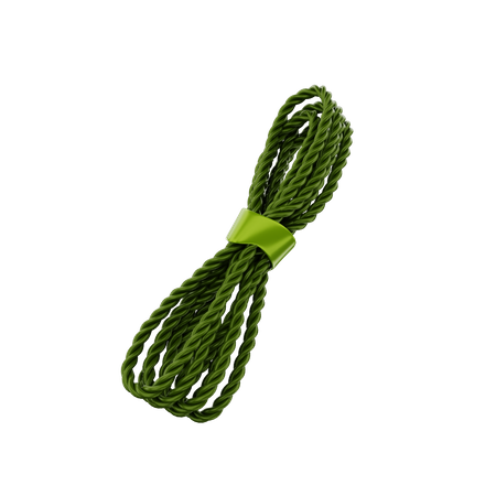 Camping Rope  3D Icon