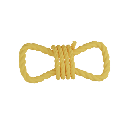 Camping Rope  3D Icon