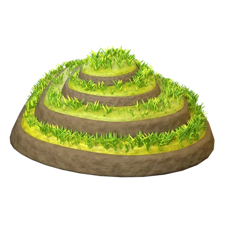 Campo de arroz  3D Icon