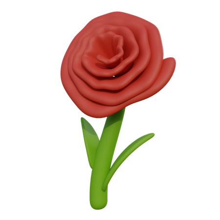 Carnation  3D Icon