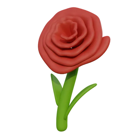 Carnation  3D Icon