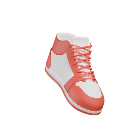 Casual Shoes  3D Illustration