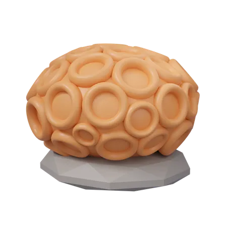 Corail cérébral  3D Icon