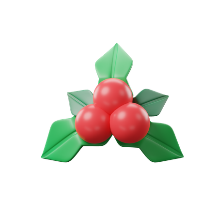 Christmas Mistletoe  3D Icon