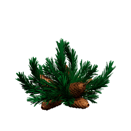 Christmas Wreath  3D Icon