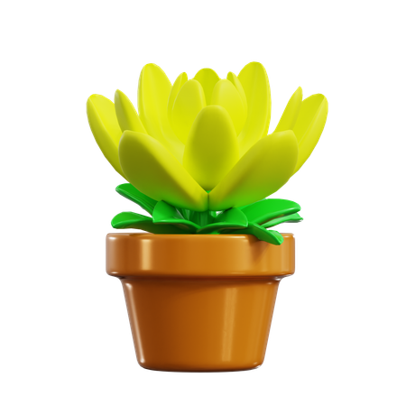 Chrysanthemum  3D Icon