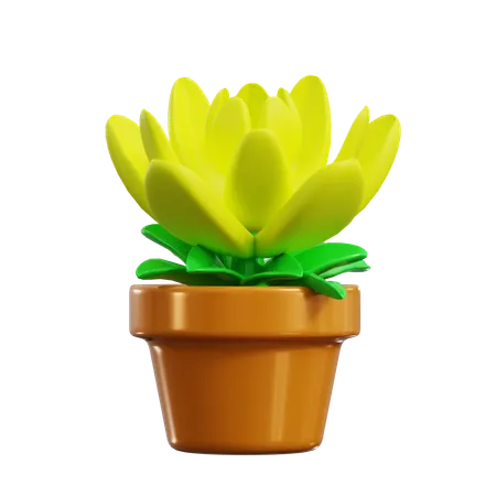 Chrysanthemum  3D Icon