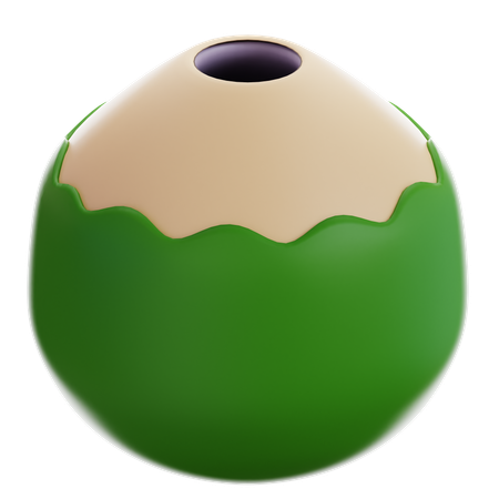 Coconut  3D Icon