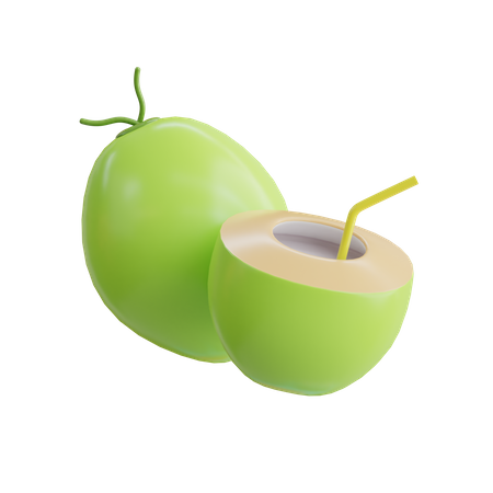 Coconut Drink  3D Icon