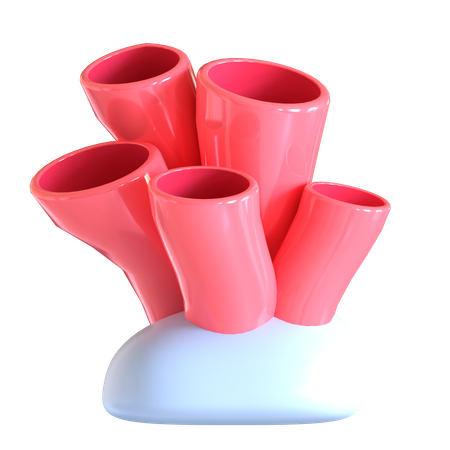 Corail  3D Icon