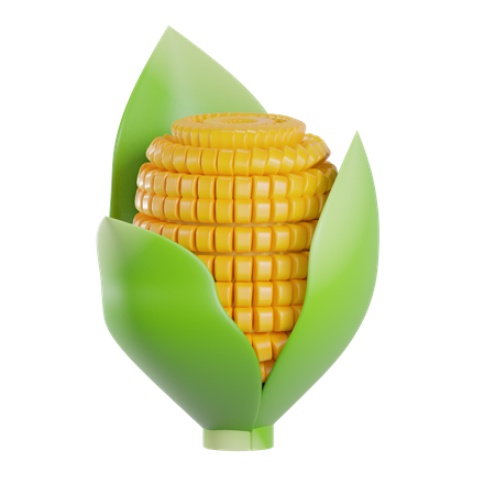 Corn  3D Illustration