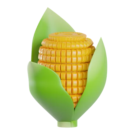 Corn  3D Illustration