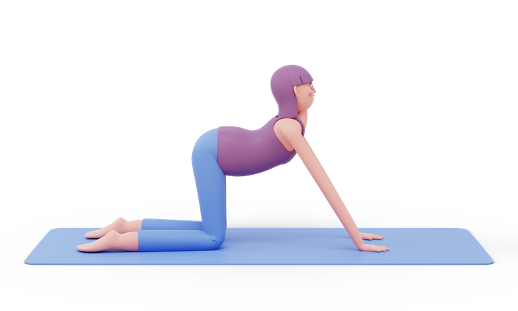 Cow Yoga Pose  3D Illustration