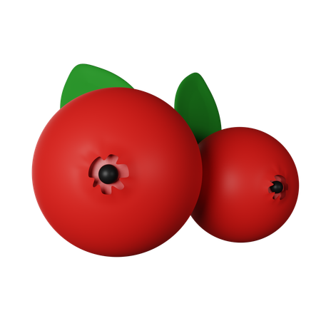 Cranberry  3D Icon